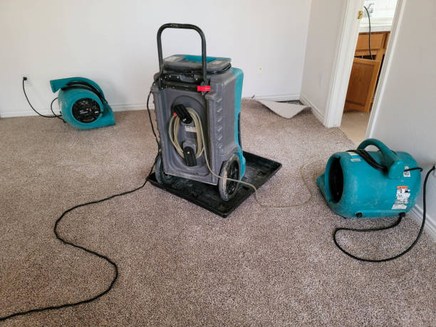 Best Basement water damage restoration  in Paden City, WV