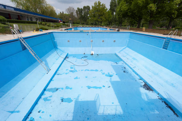 Best Basement water damage restoration  in Paden City, WV
