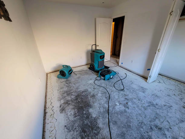 Best Commercial water damage restoration  in Paden City, WV
