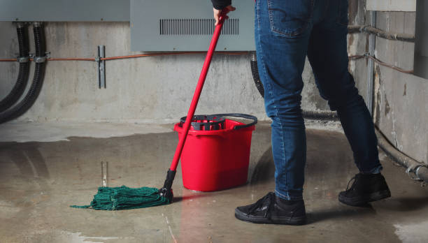 Best Emergency water damage restoration  in Paden City, WV