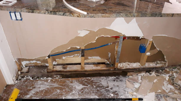 Best Water damage cleanup near me  in Paden City, WV