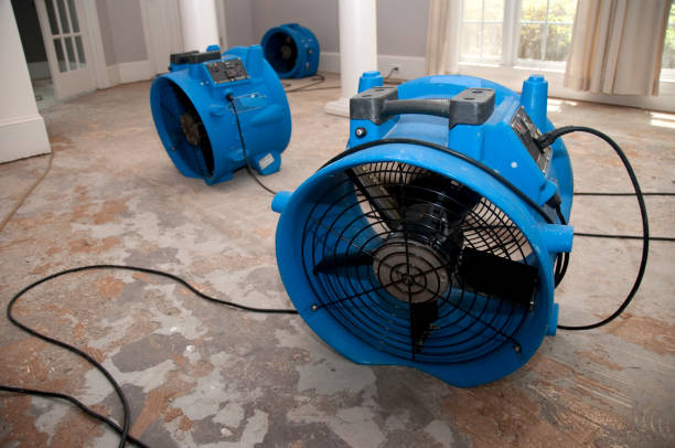 Best Ceiling water damage repair  in Paden City, WV