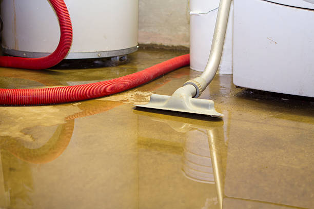 Best Water damage restoration services  in Paden City, WV