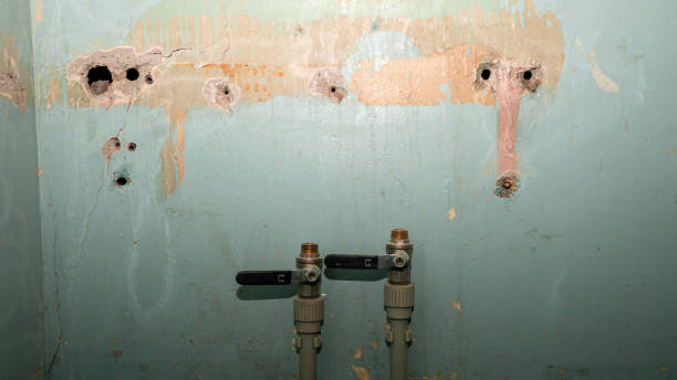 Best Flood restoration services  in Paden City, WV