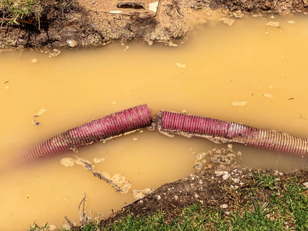 Best 24/7 water damage repair  in Paden City, WV