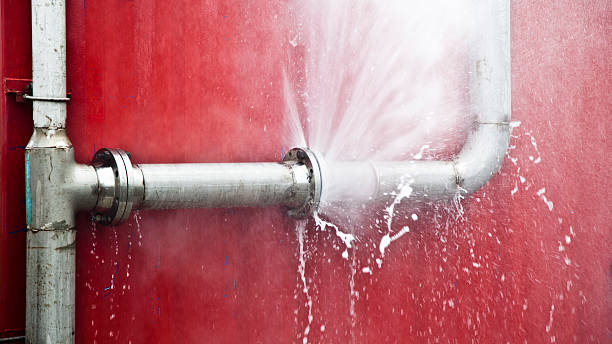 Best Flood damage cleanup  in Paden City, WV